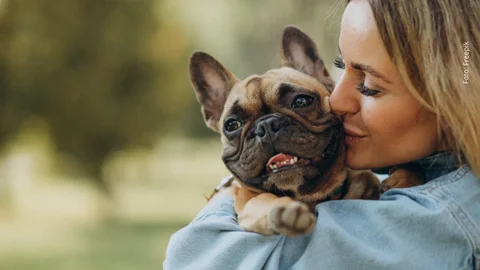 Conoce los pasos para registrar a tu mascota en la EPS
