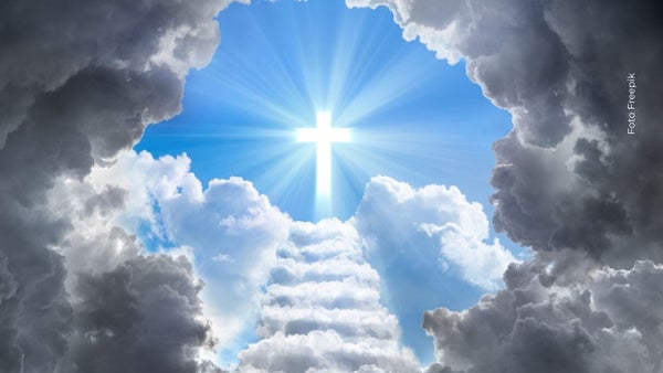 Camándula voladora fue grabada en el cielo de Bogotá y se viralizó | VIDEO