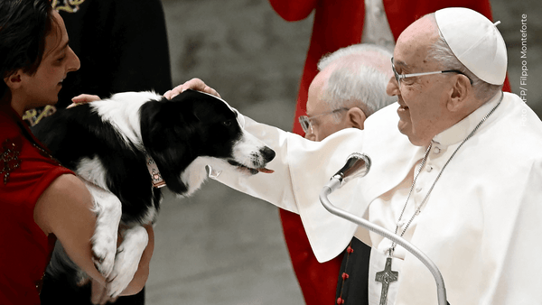 Papa Francisco enternece al jugar con un perro en el Vaticano | VIDEO Papa Francisco enternece al jugar con un perro en el Vaticano | VIDEO