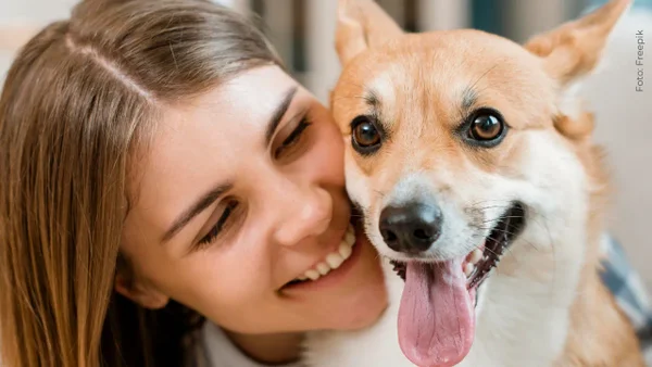 ¿Cómo cambiarán las leyes Ángel y Lorenzo la vida de las mascotas en Colombia? ¿Cómo cambiarán las leyes Ángel y Lorenzo la vida de las mascotas en Colombia?
