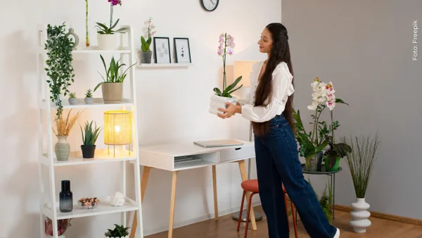 Renueva tu hogar sin gastar de más: trucos infalibles para aprovechar espacios pequeños