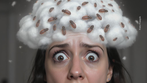¿Qué significa soñar con piojos?, conoce las múltiples explicaciones que hay
