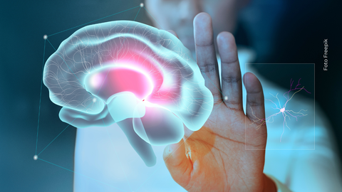 El cerebro se activa en múltiples zonas cuando mentimos: desde la creación de la historia hasta el control de la culpa y el lenguaje corporal.