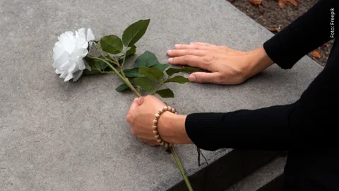 Mujer sostiene en su mano una rosa blanca