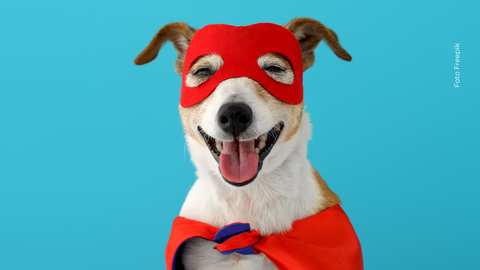 El cine puede cambiar vidas reales. Krypto, el perro de Superman, inspira a miles a adoptar.
