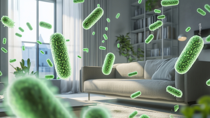 Bacterias