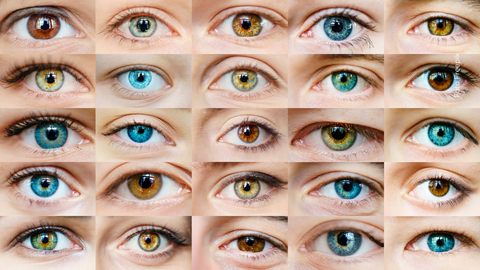 Ojos
