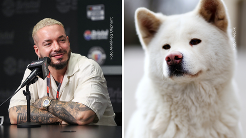 ¿Moda canina o crueldad? El perro de J Balvin da de qué hablar en redes.