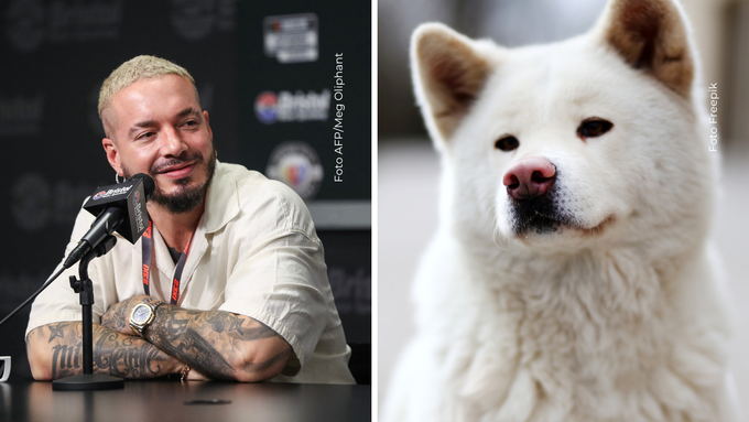 Perro viral de J Balvin ¿Moda canina o crueldad? El perro de J Balvin da de qué hablar en redes.