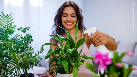 Mujer regando las plantas.