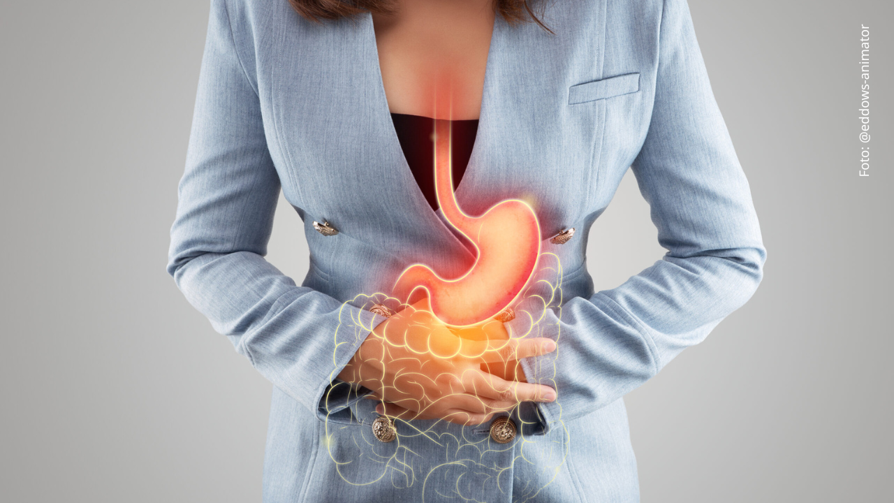La ilustración del estómago y el intestino grueso está en el cuerpo de la mujer contra un fondo gris.
