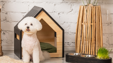 La mascota tenía su propio comedor, sala y espacio delimitado dentro del hogar: así era el diseño que se volvió viral.