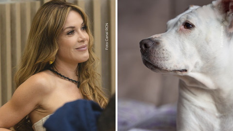 Nataly Umaña usa su historia para promover la adopción y el cuidado responsable de los animales.