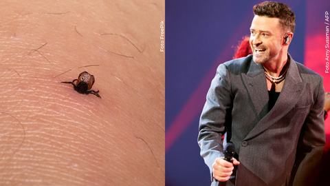 ustin Timberlake revela que padece la enfermedad de Lyme.