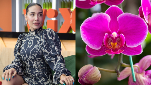 Luisa Fernanda W en La casa de los famosos Colombia 2024 - Orquídea fucsia.