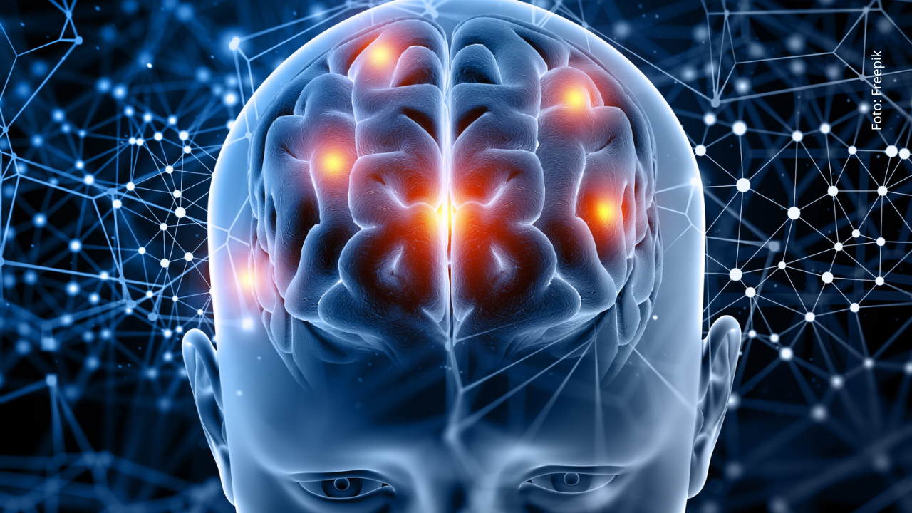 Estudio revela las implicaciones cerebrales del COVID-19 Ilustración del cerebro humano.