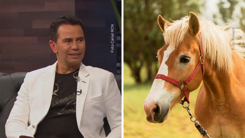Más allá de la música, el cantante Jhonny Rivera dedica su vida a darles una segunda oportunidad a animales abandonados.