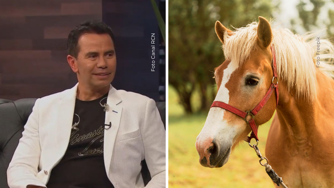 Los caballos de Jhonny Rivera Más allá de la música, el cantante Jhonny Rivera dedica su vida a darles una segunda oportunidad a animales abandonados.