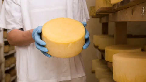 Colombia celebra la escultura de queso más grande de su historia
