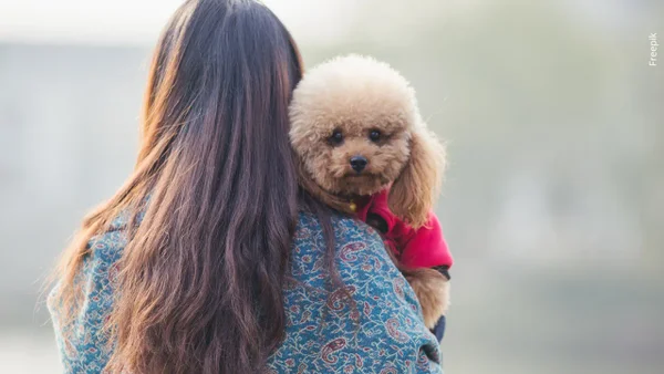 ¿Cédula digital para mascotas en Colombia?, así funcionaría el registro obligatorio