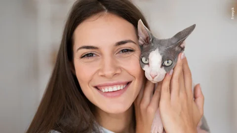 El 8 de agosto se conmemora el Día internacional del gato