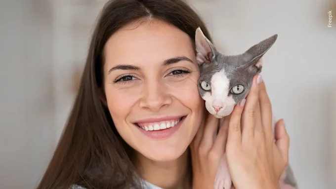 El 8 de agosto se conmemora el Día internacional del gato
