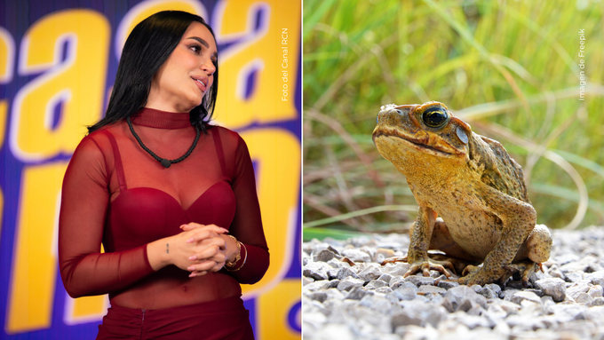 Andrea Valdiri corrió bajo la lluvia para atrapar un sapo