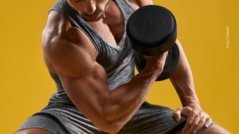Masa muscular