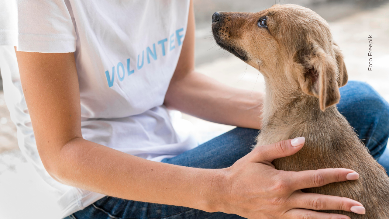 Alejandro Riaño abrió su corazón y adoptó a Barbas, un perro rescatado de una cruel realidad.