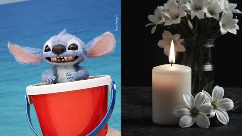 Lilo & Stitch.