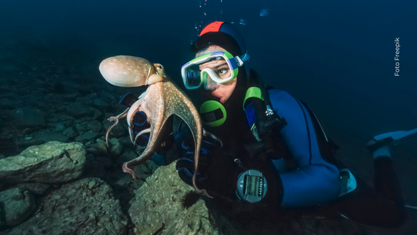 Así fue el dramático momento que vivió un buzo al enfrentarse a un pulpo gigante Así fue el dramático momento que vivió un buzo al enfrentarse a un pulpo gigante
