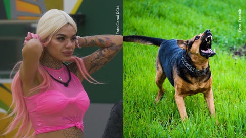 Melissa Gate sufrió ataque en el rostro