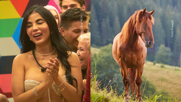 Karina García sorprendió en video montando a caballo y sin quitarse los tacones Karina García sorprendió en video montando a caballo y sin quitarse los tacones