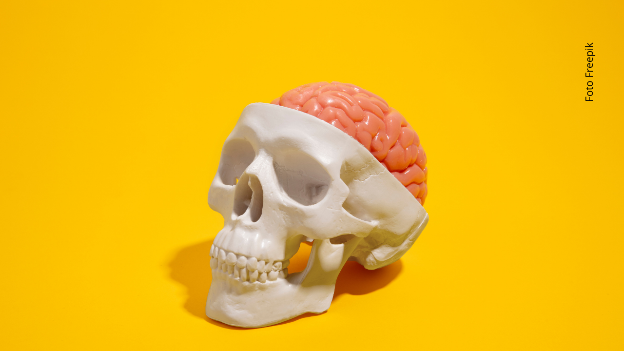 El fósil del niño de Taung demostró que el origen humano estaba en África.