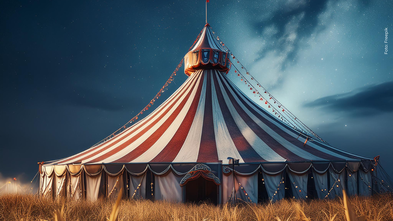 Circo