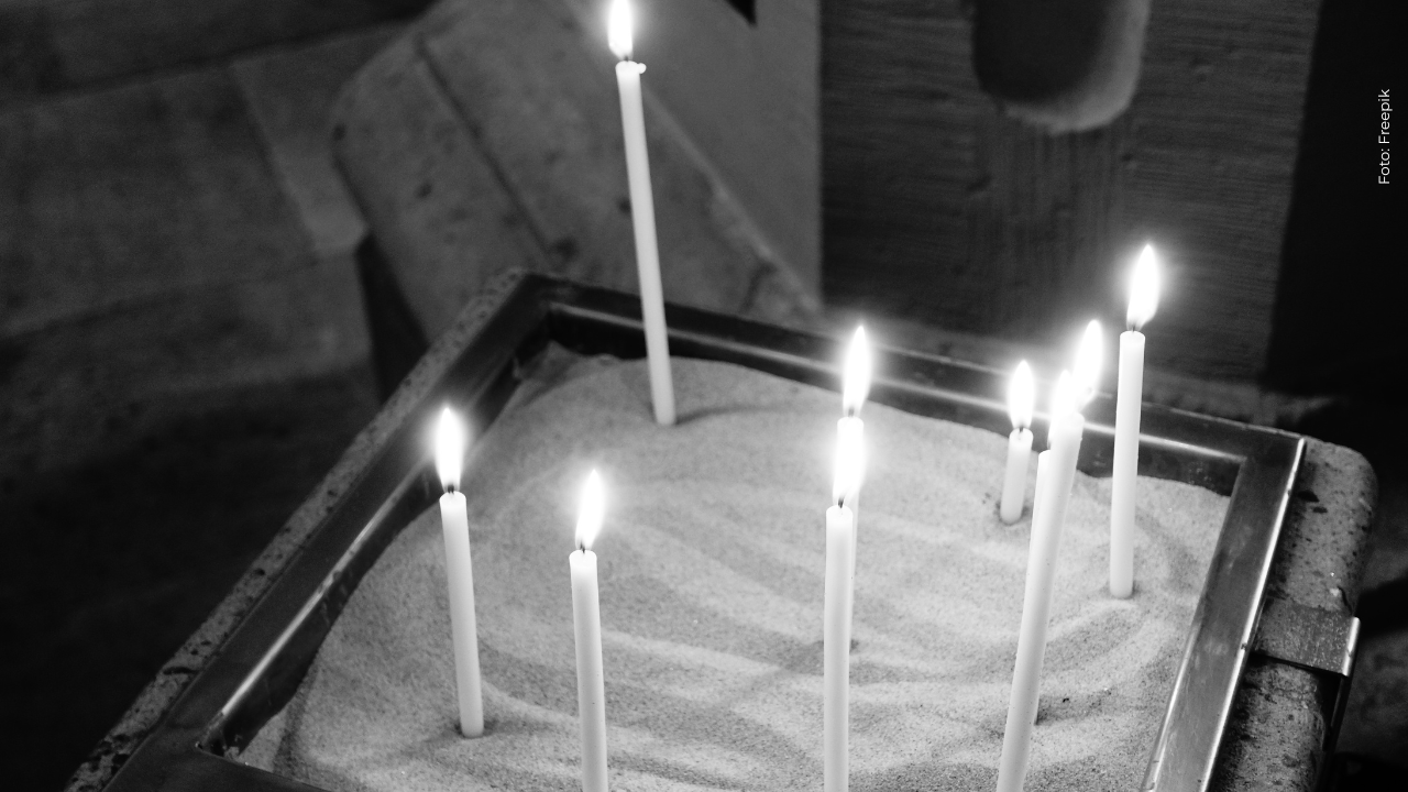 Velas blancas