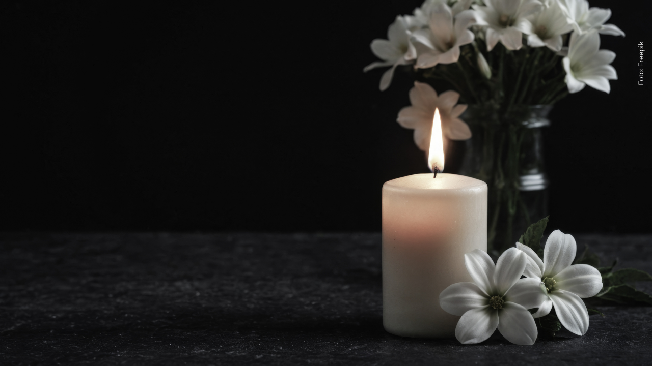 Velas blancas