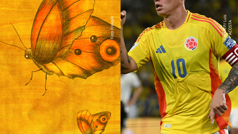 Así sería la camiseta de la Selección para el Mundial 2026: mariposas, tradición y un guiño al uniforme de 1990.
