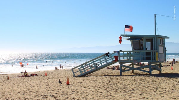 ¿Qué se sabe de la bacteria come carne que preocupa en las playas de Estados Unidos? ¿Qué se sabe de la bacteria come carne que preocupa en las playas de Estados Unidos?