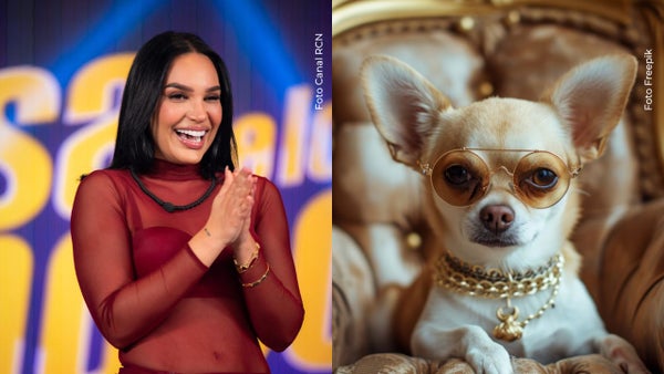 ¡Con televisor! Andrea Valdiri le mandó a hacer lujosa habitación a su mascota: así quedó