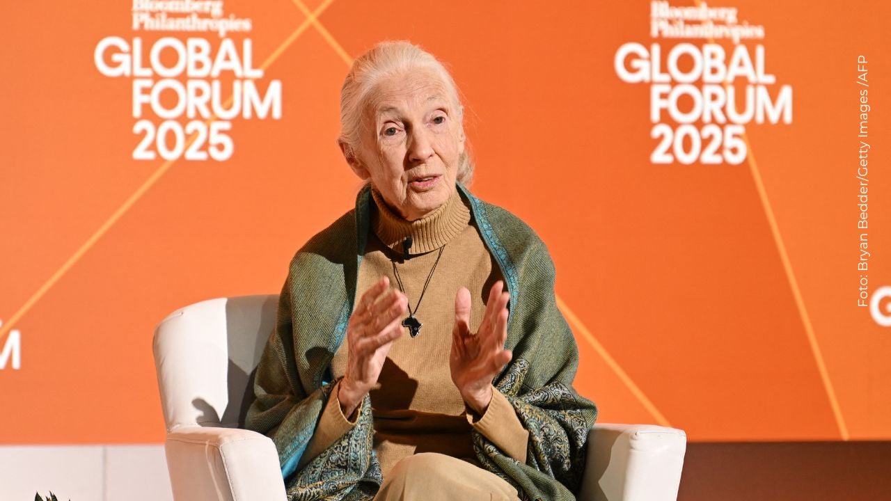 Jane Goodall murió a sus 91 años, fue amiga de Claudia Bahamón y Nicolás Montero