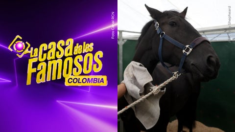 Camilo Díaz sufrió caída de caballo