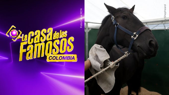 Camilo Díaz Camilo Díaz sufrió caída de caballo