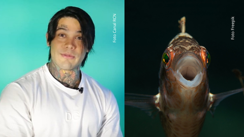 Yeferson Cossio se balanceó sobre un río lleno de especies peligrosas