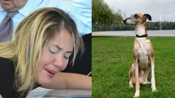 Dayana Jaimes reveló que quisiera ser como el perro con el que fue comparada por Betsy Liliana