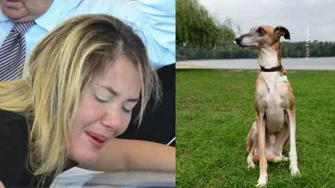 Dayana Jaimes contestó a las palabras de Betsy Liliana