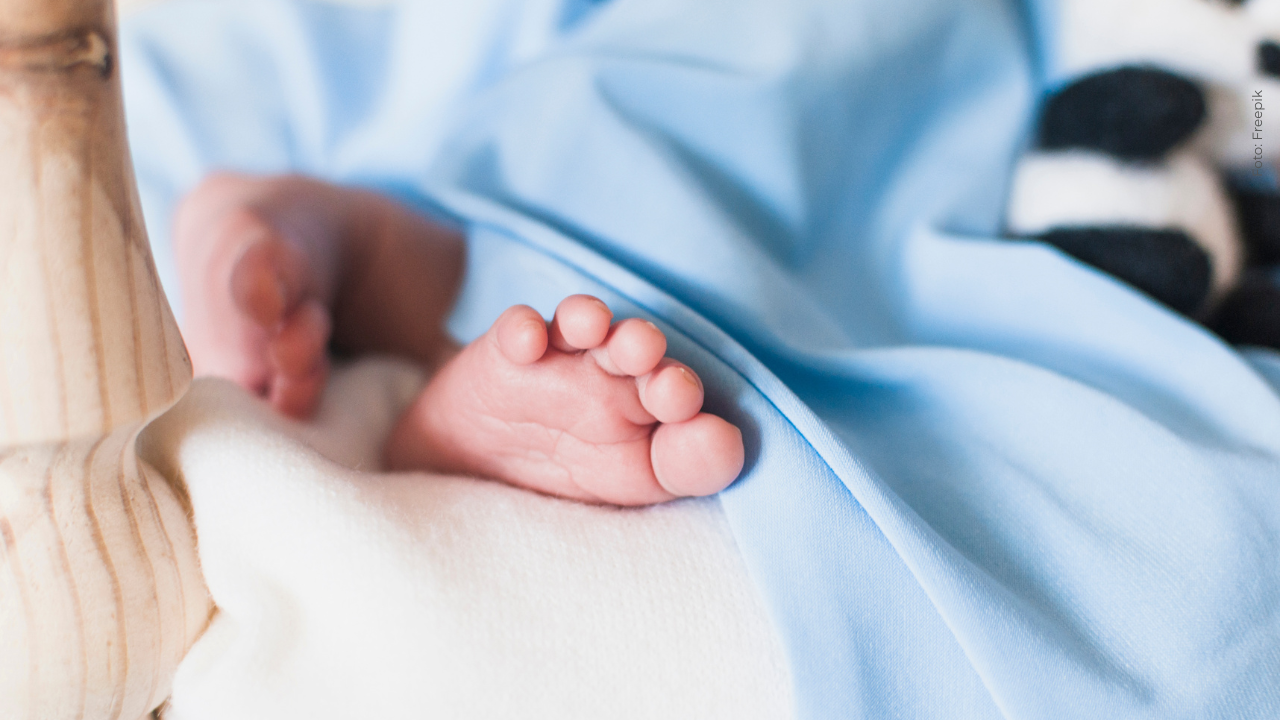 Influencer es viral tras video de mujer que es madre de muñecos falsos: ¿qué son los bebés reborn?