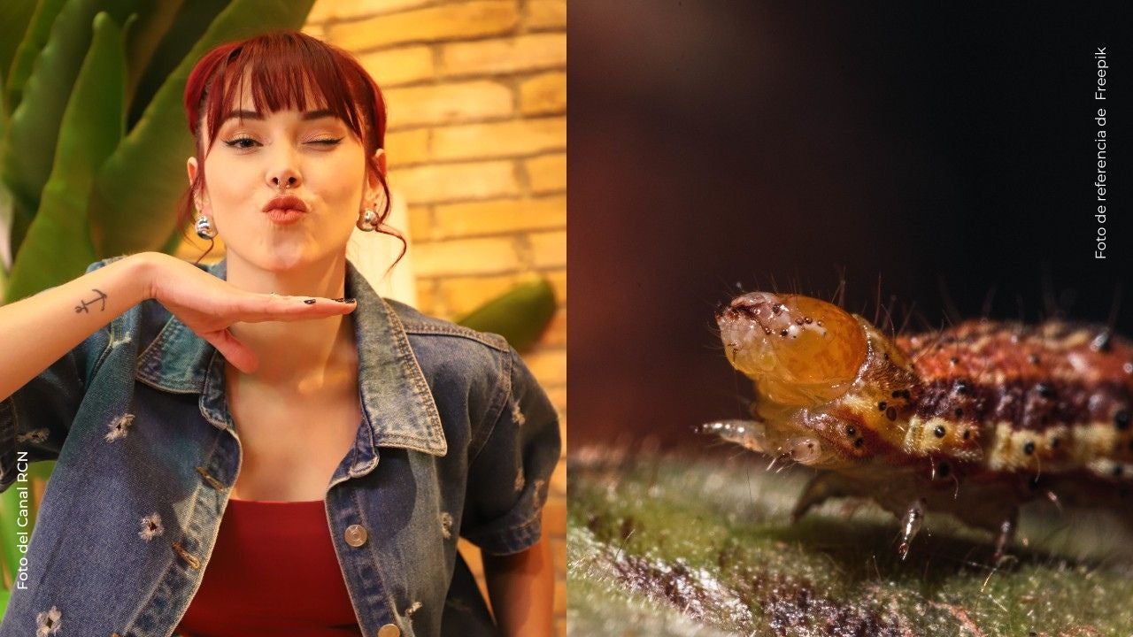 Kika Nieto descubre que tenía un ácaro viviendo en su ojo