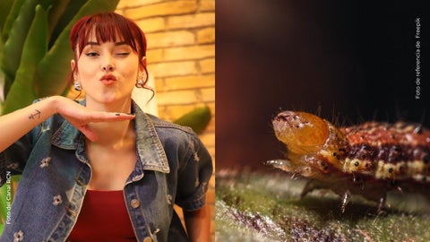 Kika Nieto descubre que tenía un ácaro viviendo en su ojo