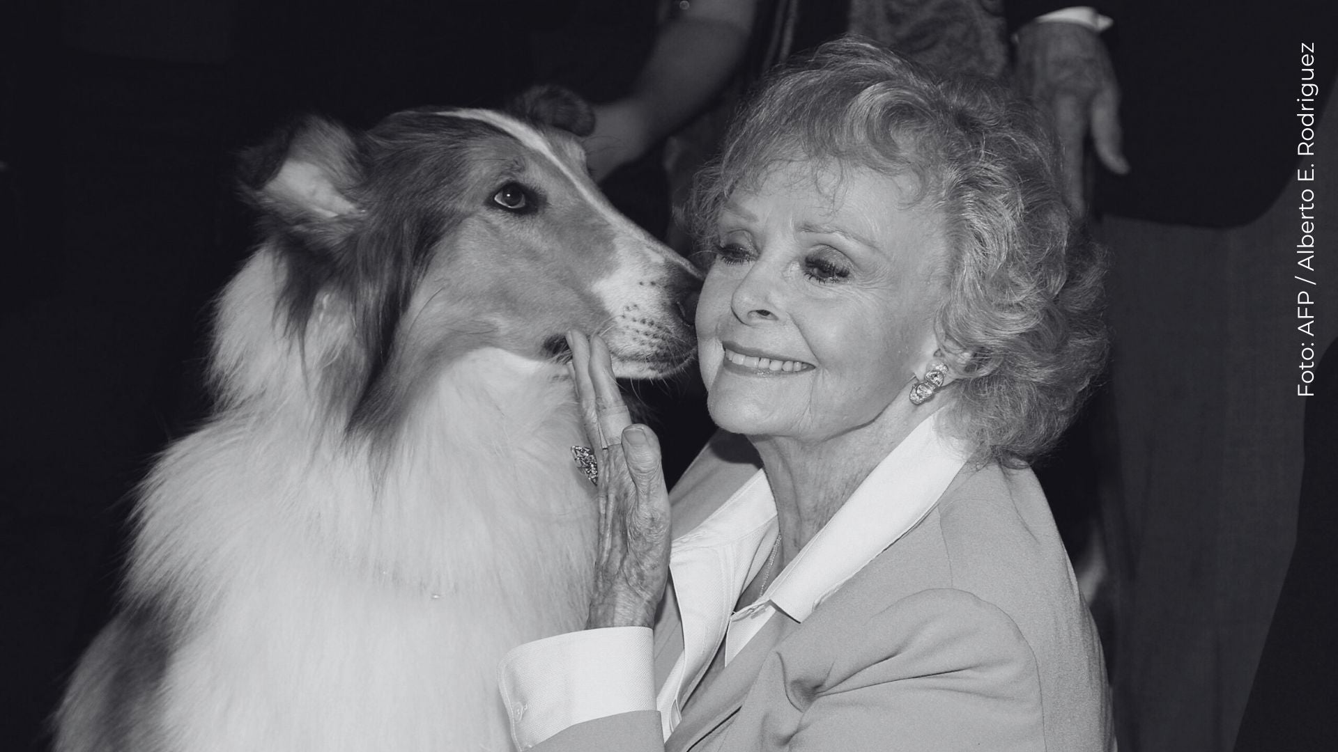 Fallece actriz de Gray's Anatomy y Lassie. A sus 100 años, fallece June Lockhart, actriz de Gray's Anatomy y Lassie.